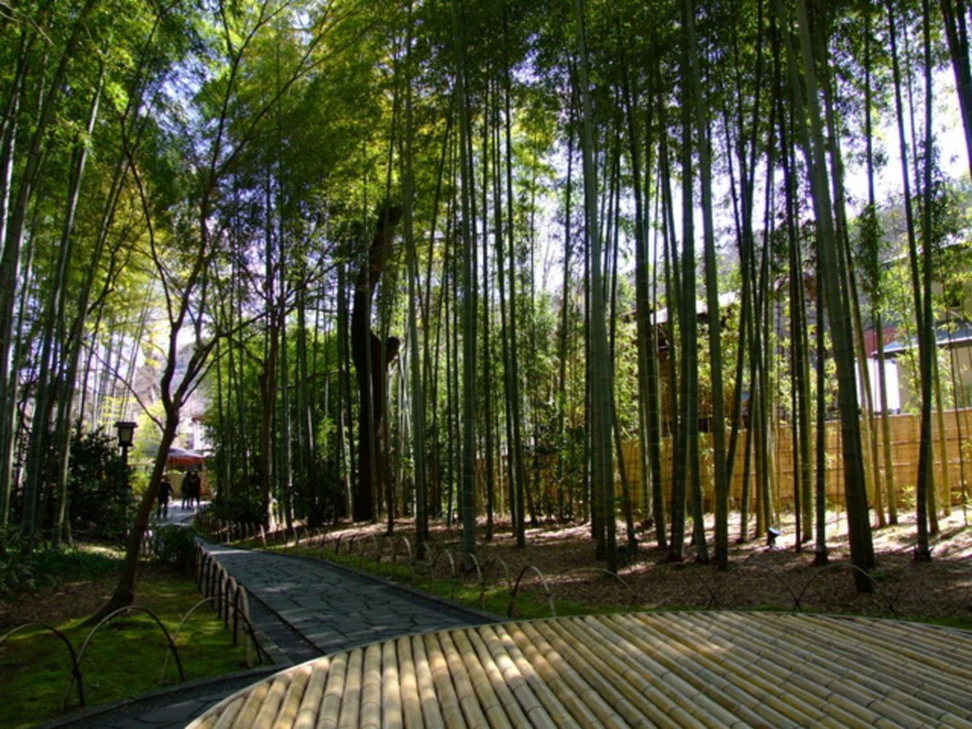 ブリーズベイ修善寺ホテル 伊豆市 エクステリア 写真